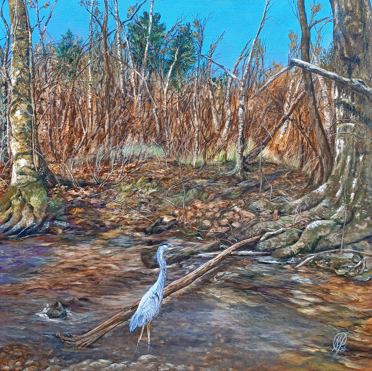 Michele Pierce - Hobbs Park Creek Study #1