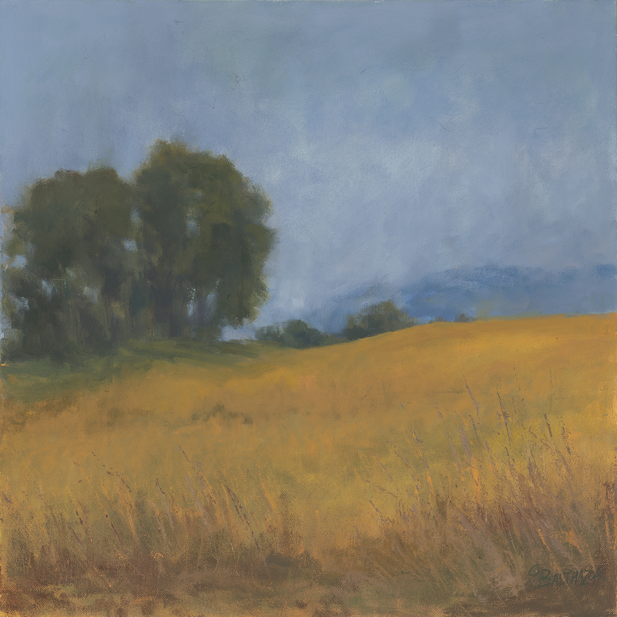 Cindy Balthazor - Grace in Abundance