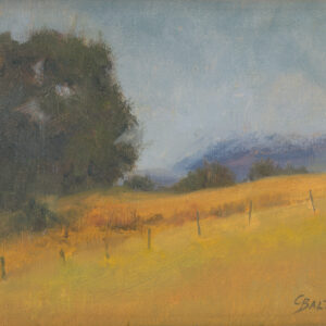 Cindy Balthazor - Grace in Abundance