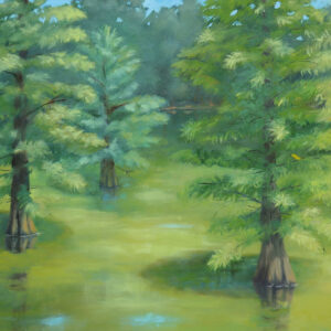 Julie Gowing Hayes - The Delta’s Emerald Spell