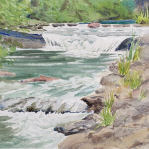 Diane Stinebaugh - Gulpha Gorge