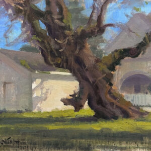 John Lasater - Leaning Catalpa