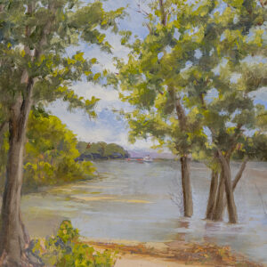 Nancy Pauliukonis - Rhythm of the Mississippi - Study