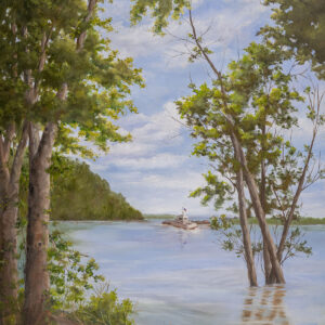 Nancy Pauliukonis - Rhythm of the Mississippi