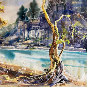 Cynthia Schanink - Tree Strength