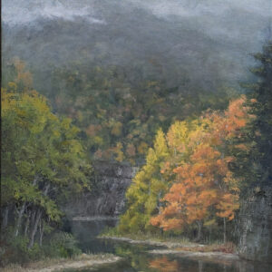 Kathleen Woolsey - Buffalo Hide and Seek