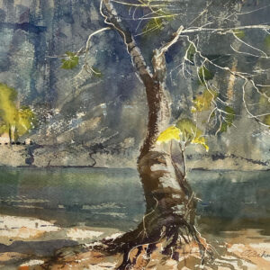 Cynthia Schanink - Perseverance